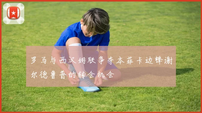 罗马与西汉姆联争夺本菲卡边锋谢尔德鲁普的转会机会